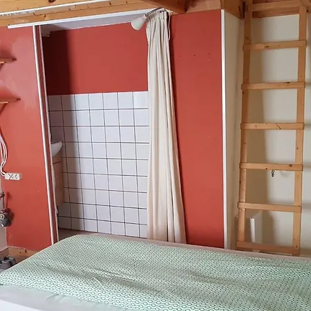 Hoya Baja 26 Punta Del Hidalgo